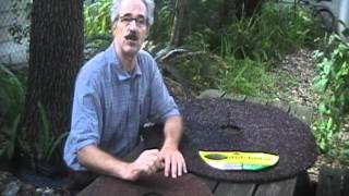 Rubber Mulch Tree Ring Vs Coco Fiber Tree Ring