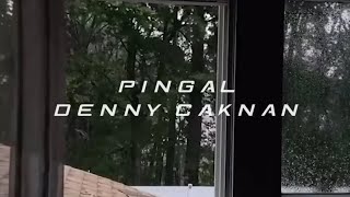 Download lagu PINGAL - DENNY CAKNAN [SLOWED]  mp3