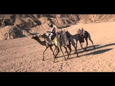 Mike Batt - Caravans on the move (Beautiful Planet Earth) (Egypt)