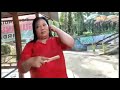 Ikan Hias Air Tawar Pinus Lingga