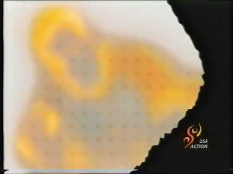 DSF Action - Wrestling Programminfo vom 10.08.1997