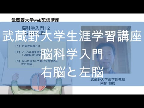 経済学科 右脳と左脳　脳科学入門12
