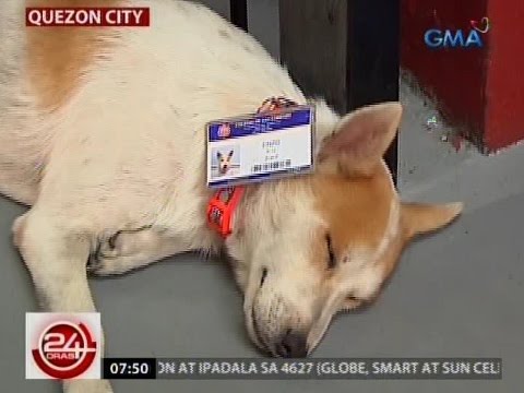 Luya lemon at honey para sa pagbaba ng timbang contraindications Gawin listahan para sa bawat araw para sa pagbaba ng timbang