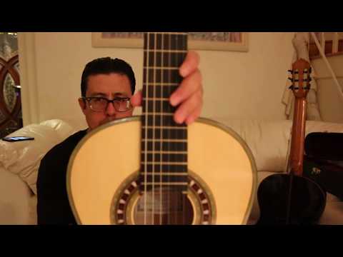 Spanish Romantic Guitar, FE-17 Antonio De Torres 1860’s style replica (Francisco Tarreaga) image 10