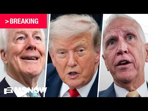 BREAKING: Trump floats WITHDRAWING Blanche's nomination until Cornyn, Tillis are out of office