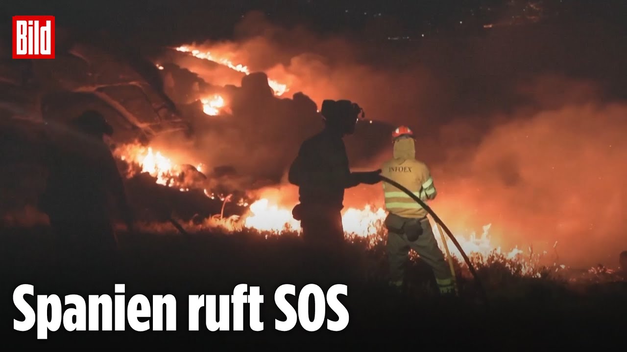 Südeuropa in Flammen: Waldbrände weiter außer Kontrolle
