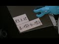 赤い帽子白い帽子