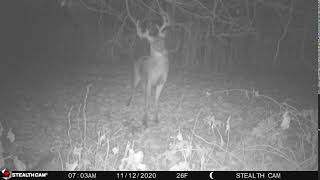 My Nov  12, 2020 Buck