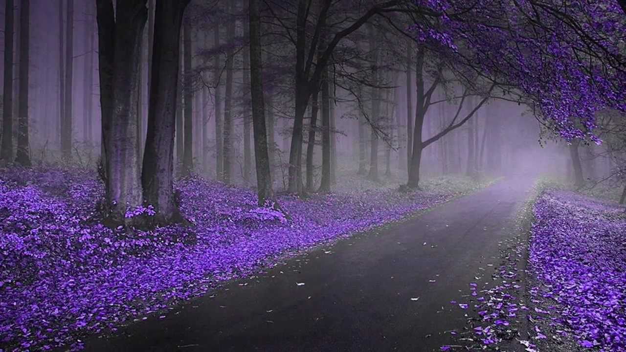 Teri Seemayen Lyrics  | Kashmakash | Jishu Sengupta, Riya Sen | Shreya Ghoshal | Raja Narayan Deb, Sanjoy Das