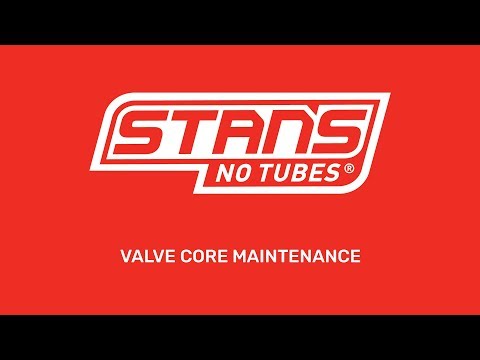 Valve Core Maintenance
