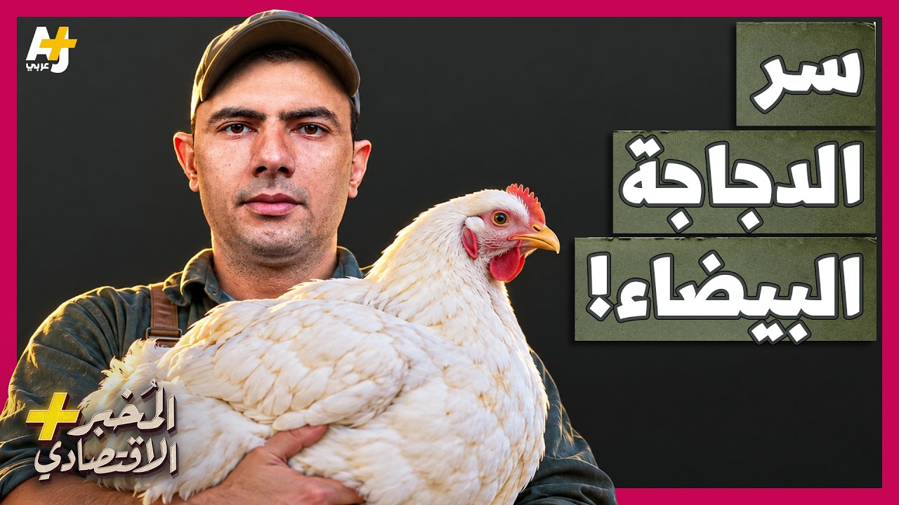 المُخبر الاقتصادي+ | من يسيطر على أشهر دجاجة في العالم؟