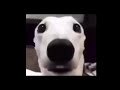 1 Hour Of Silence Occasionally Broken By Random Memes