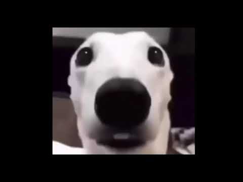 1 hour of silence occasionally broken by random memes