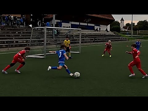TSV Berg - VfB Friedrichshafen Highlights (All team) 26.09.2025