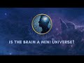 Is The Cosmos A Brain A Tour Through Time Space And Mind