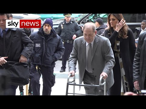 ハーヴェイ・ワインスタインの「リーガル・ロットワイラー」が裁判を振り返る (Harvey Weinstein's 'legal rottweiler' reflects on trial)