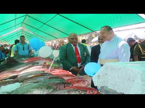 EKIAKI 'OE PAINITU'U UA (HAVELULOTO) ME'AKAI MEI NGATAI MO TOKANGA