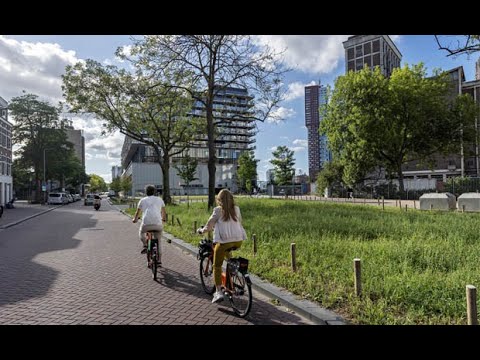 Maak kennis met de Rotterdamse wijk Katendrecht