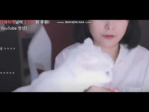 아이콘