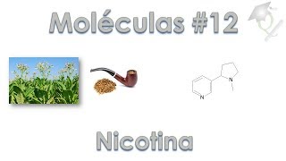 Uma Molécula por Dia #12 Nicotina