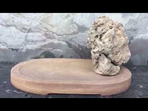 Natural penjing bonsai plate with monoliths