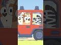 Bluey | Onesies | Disney Channel NL #bluey #shorts