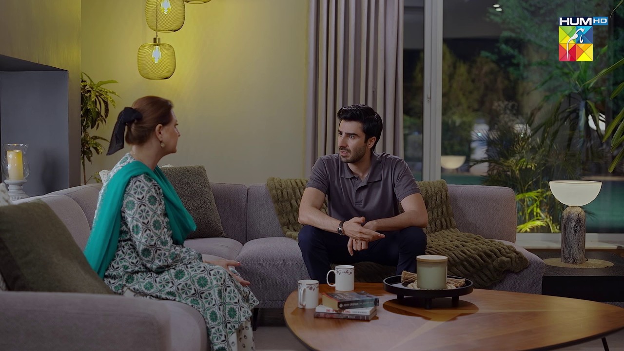 Tumhari Biwi Ka Miscarriage Nahi Hua Us Ne Apna Bacha Khud Mara Hai...! Hadd - HUM TV