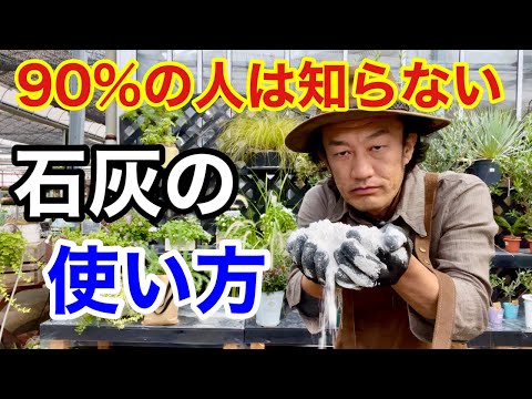 なぜ植物の周りに卵の殻を置くのでしょうか？明らかな5つの理由！  庭園