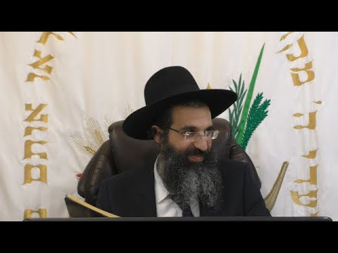 סוכה 🌴 הפטורים מישיבתה ודין מצטער | הרב שי עובד | חמישי - חול המועד סוכות - תשפג