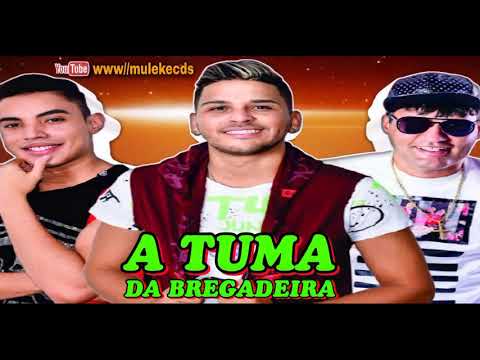 A TURMA DA BREGADEIRA ATUALIZADO AGOSTO 2021