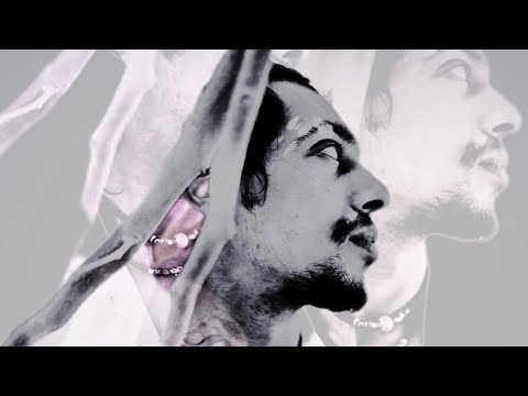 LUNA AYER - DANNY EAST 4REAL ( Official Visualizer )