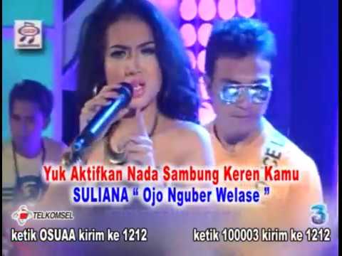 download lagu mp3 mp4 Suliana Ojo Nguber Welase Mp3, download lagu Suliana Ojo Nguber Welase Mp3 gratis, unduh video klip Suliana Ojo Nguber Welase Mp3
