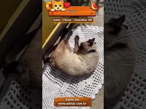 Vídeo de Leoninha