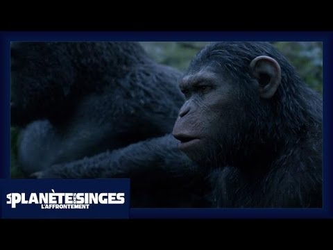 La Planète des Singes : L'Affrontement - Extrait Allez-vous-en ! [Officiel] VOST HD