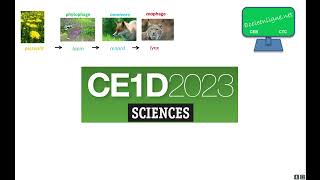 CE1D 2023 Sciences - question 5
