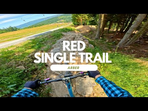 Red Single Trail Bikepark Arber Trail Review ganze Strecke Full Run POV RAW