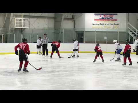 NAHA Hockey 12u White vs Red Tournament Game 2, February 27, 2017