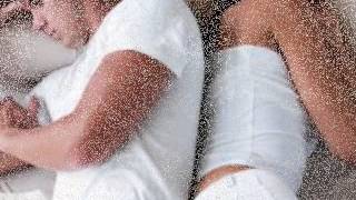 Steel Magnolia   Glass Houses