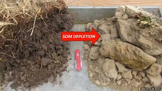 Lesson 1: Soil Degradation vs. Conservation vs. Regeneration