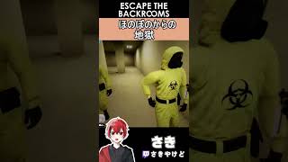 [Escape the Backrooms]ほのぼのからの地獄