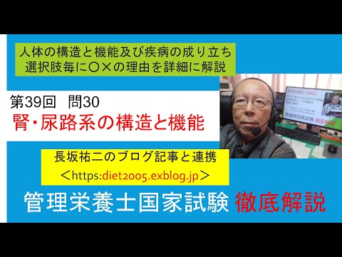 看護学科 腎・尿路系の構造と機能　管理栄養士国家試験第39回問30