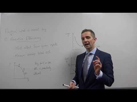 Productive Efficiency