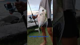 Download lagu Fishing at Tanjung Lipat #shorts mp3