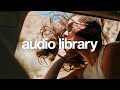 Traveler Roa No Copyright Music