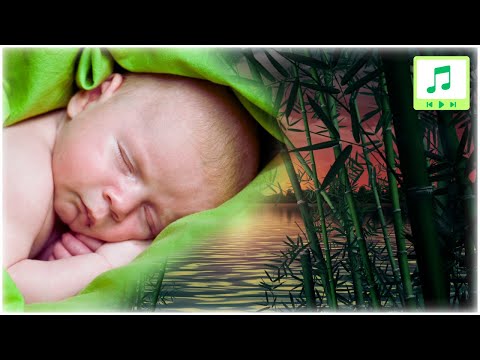 💚 [12H] Usypiający szum wody płynącej z bambusa - Biały szum wody z bambusa - Numer 1 w usypianiu 💚