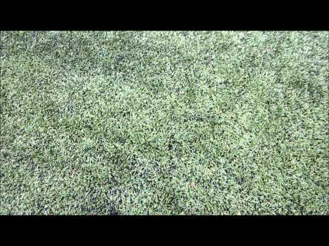 RVVH A2 - BVV Barendrecht A3    13 dec 2014