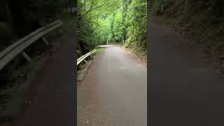 樫内利政 撮影　駐車場もしっかち確認です。地元の方に迷惑にならないように