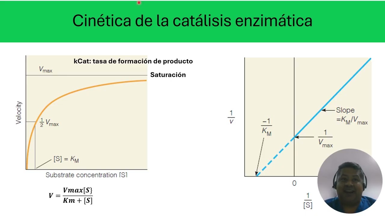 Generalidades sobre las enzimas