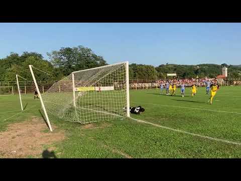 Rezumat Aurul Brad - CSM Deva 1-3