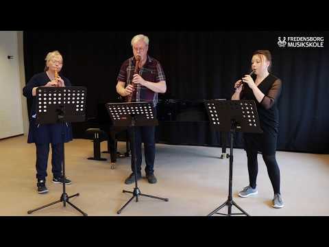 Måske du vil spille blokfløjte? - Fredensborg Musikskole